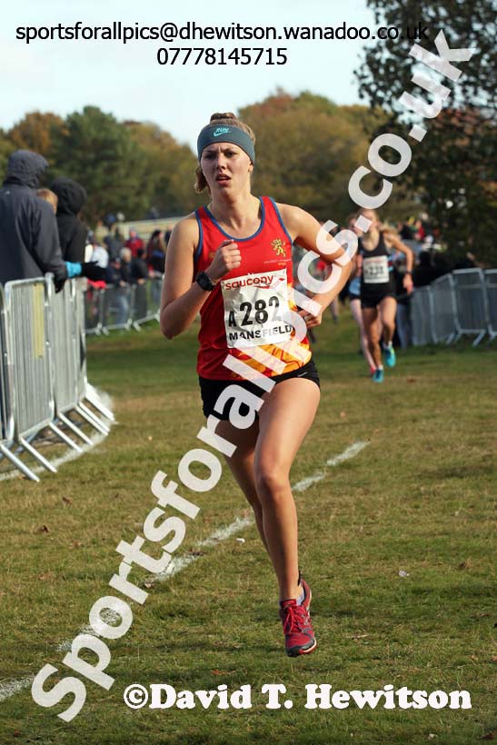 Junior women, 2016 National Cross Cpuntry Relays, Berry Hill Park, Mansfield. Photo: David T. Hewitson/Sports for All Pics